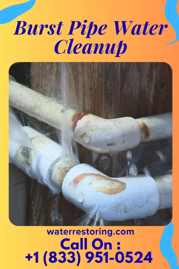 Burst Pipe Water Cleanup in Stockdale, PA