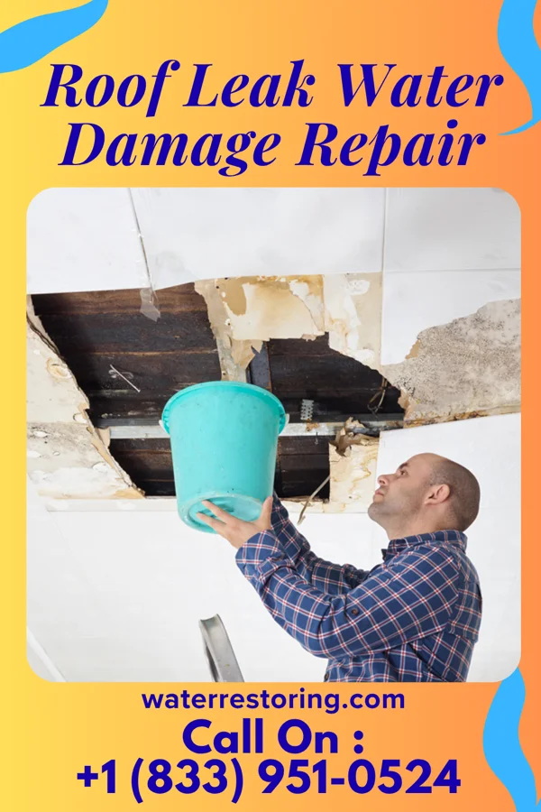 Roof Leak Water Damage Repair in Stockdale, PA