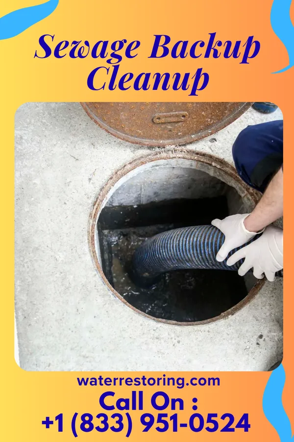 Sewage Backup Cleanup in Stockdale, PA